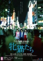 Кошачий рассвет онлайн бесплатно HD Rezka