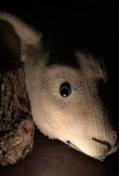 История Марии онлайн бесплатно HD Rezka