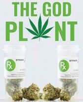 Божественное растение онлайн бесплатно HD Rezka