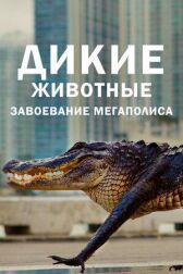 Дикие животные: Завоевание мегаполиса онлайн бесплатно HD Rezka