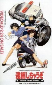 Вы арестованы! онлайн бесплатно HD Rezka