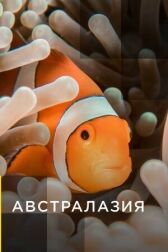 Австралазия онлайн бесплатно HD Rezka