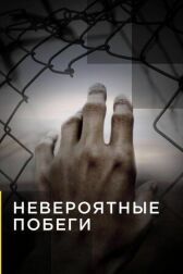 Невероятные побеги онлайн бесплатно HD Rezka