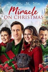 Рождественское Чудо онлайн бесплатно HD Rezka