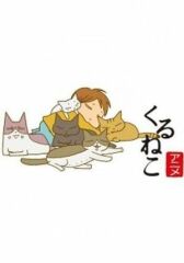 Кошачьи истории онлайн бесплатно HD Rezka