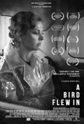 Залётная птица онлайн бесплатно HD Rezka