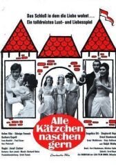 Все кошки любят полакомиться онлайн бесплатно HD Rezka