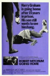 Иди домой онлайн бесплатно HD Rezka