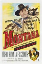 Монтана онлайн бесплатно HD Rezka