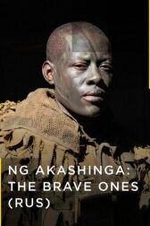 Акашинга: Отважные онлайн бесплатно HD Rezka