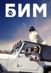 БиМ онлайн бесплатно HD Rezka