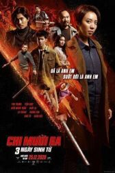 Тринадцатая сестра: Три убийственных дня онлайн бесплатно HD Rezka