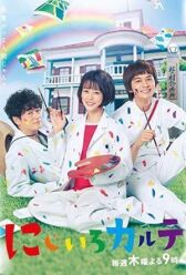 Радужная медицинская карта онлайн бесплатно HD Rezka