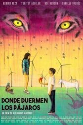 Там, где спят птицы онлайн бесплатно HD Rezka