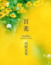 Сотня цветов онлайн бесплатно HD Rezka