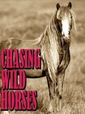 Вслед за дикими лошадьми онлайн бесплатно HD Rezka