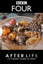 После смерти: Загадочная наука разложения онлайн бесплатно HD Rezka