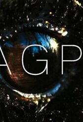 Барахольщик онлайн бесплатно HD Rezka