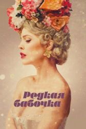 Редкая бабочка онлайн бесплатно HD Rezka