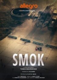 Польские легенды: Дракон постер к фильму смотреть онлайн на HD Rezka