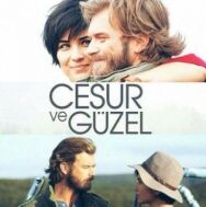 Отважный и красавица постер к фильму смотреть онлайн на HD Rezka