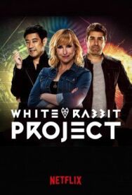 Проект Белый кролик постер к фильму смотреть онлайн на HD Rezka