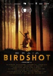 Дробь постер к фильму смотреть онлайн на HD Rezka
