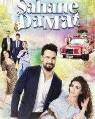 Замечательный зять постер к фильму смотреть онлайн на HD Rezka