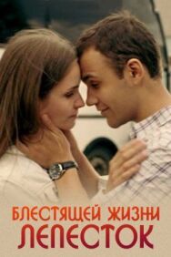 Блестящей жизни лепесток постер к фильму смотреть онлайн на HD Rezka