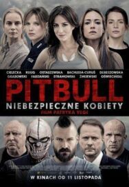 Питбуль. Опасные женщины постер к фильму смотреть онлайн на HD Rezka