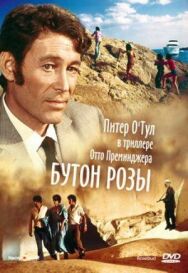 Бутон розы постер к фильму смотреть онлайн на HD Rezka