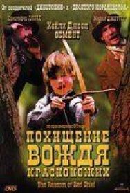 Похищение вождя краснокожих постер к фильму смотреть онлайн на HD Rezka