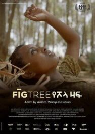 Инжир постер к фильму смотреть онлайн на HD Rezka