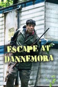 Побег из тюрьмы Даннемора постер к фильму смотреть онлайн на HD Rezka