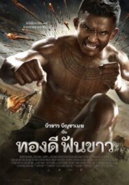Легенда о герое со сломанным мечом постер к фильму смотреть онлайн на HD Rezka