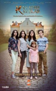 Птицы без крыльев постер к фильму смотреть онлайн на HD Rezka