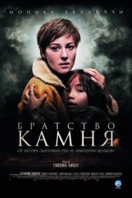 Братство камня постер к фильму смотреть онлайн на HD Rezka