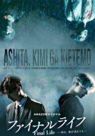 Финальная жизнь постер к фильму смотреть онлайн на HD Rezka