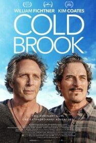 Холодный ручей постер к фильму смотреть онлайн на HD Rezka