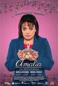 Секретарша Амалия постер к фильму смотреть онлайн на HD Rezka