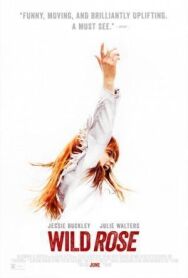 Дикая Роза постер к фильму смотреть онлайн на HD Rezka