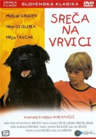 Счастье на поводке постер к фильму смотреть онлайн на HD Rezka