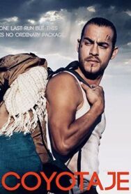 Охота на койота постер к фильму смотреть онлайн на HD Rezka