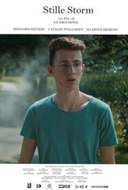 Тихий шторм постер к фильму смотреть онлайн на HD Rezka