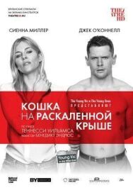 Кошка на раскалённой крыше постер к фильму смотреть онлайн на HD Rezka
