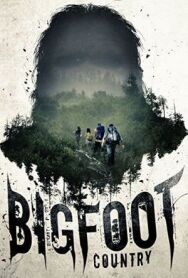 Земля йети постер к фильму смотреть онлайн на HD Rezka