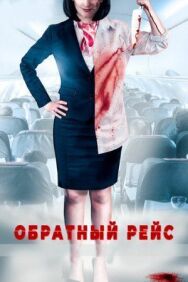 Обратный рейс постер к фильму смотреть онлайн на HD Rezka