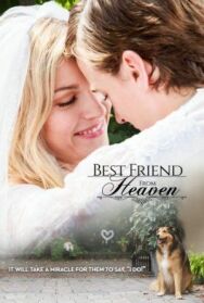 Лучший друг с небес постер к фильму смотреть онлайн на HD Rezka