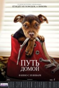 Путь домой постер к фильму смотреть онлайн на HD Rezka