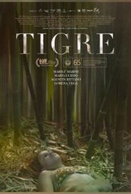 Тигр постер к фильму смотреть онлайн на HD Rezka